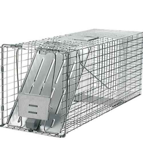 NLA. Havahart Collapsible Easy Set 1-Door Raccoon / Feral Cat Trap 32 x  11.75 x 12 - 1092 - Viceroy Distributors