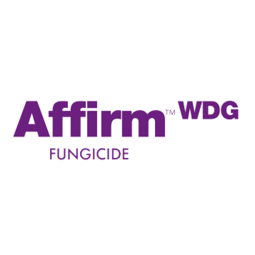 Affirm WDG