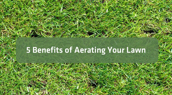 5 Benefits of Aerating Your Lawn