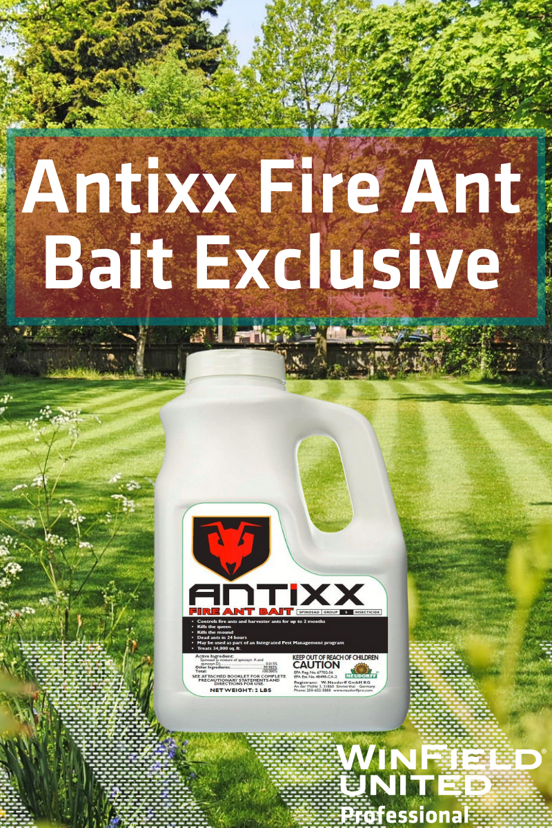 Antixx Fire Ant Bait Exclusive