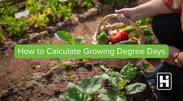 Growing Degree Days: A Valuable Tool for Plant Growth and Development