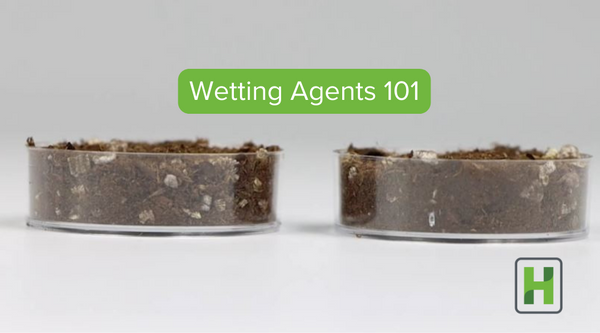 Wetting Agents 101: What They Are and How to Use Them