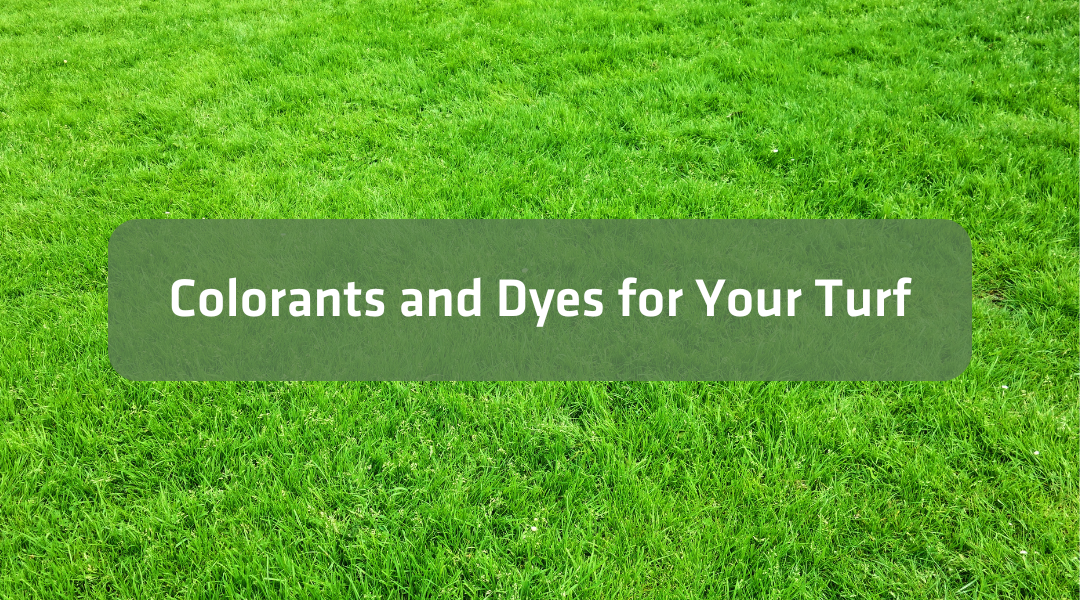 Colorants and Dyes for Your Turf