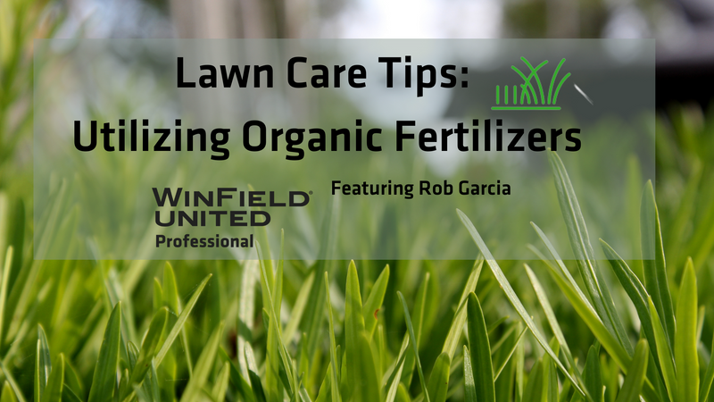 Looking for a Green Lawn Care Program?