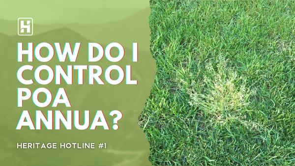 How to control poa annua? 