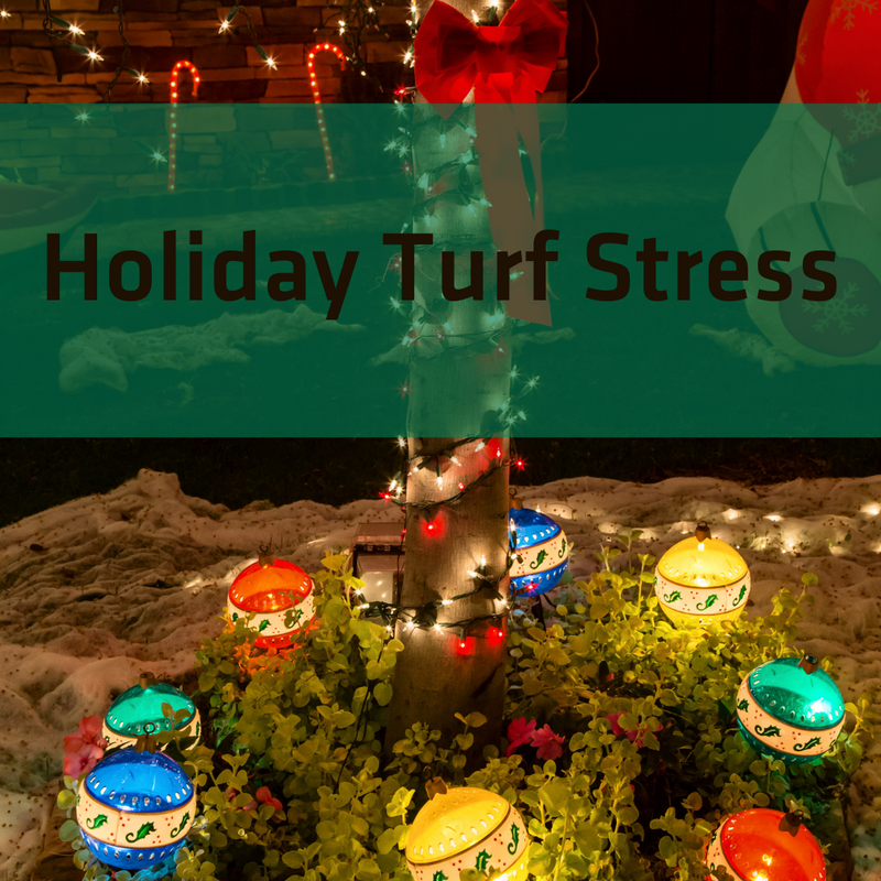 Holiday (Turf) Stress