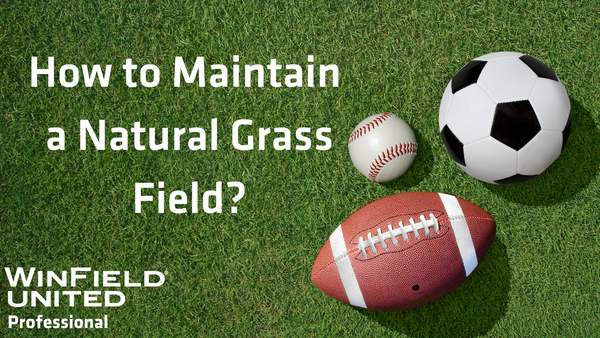 How to Maintain a Natural Turf Field