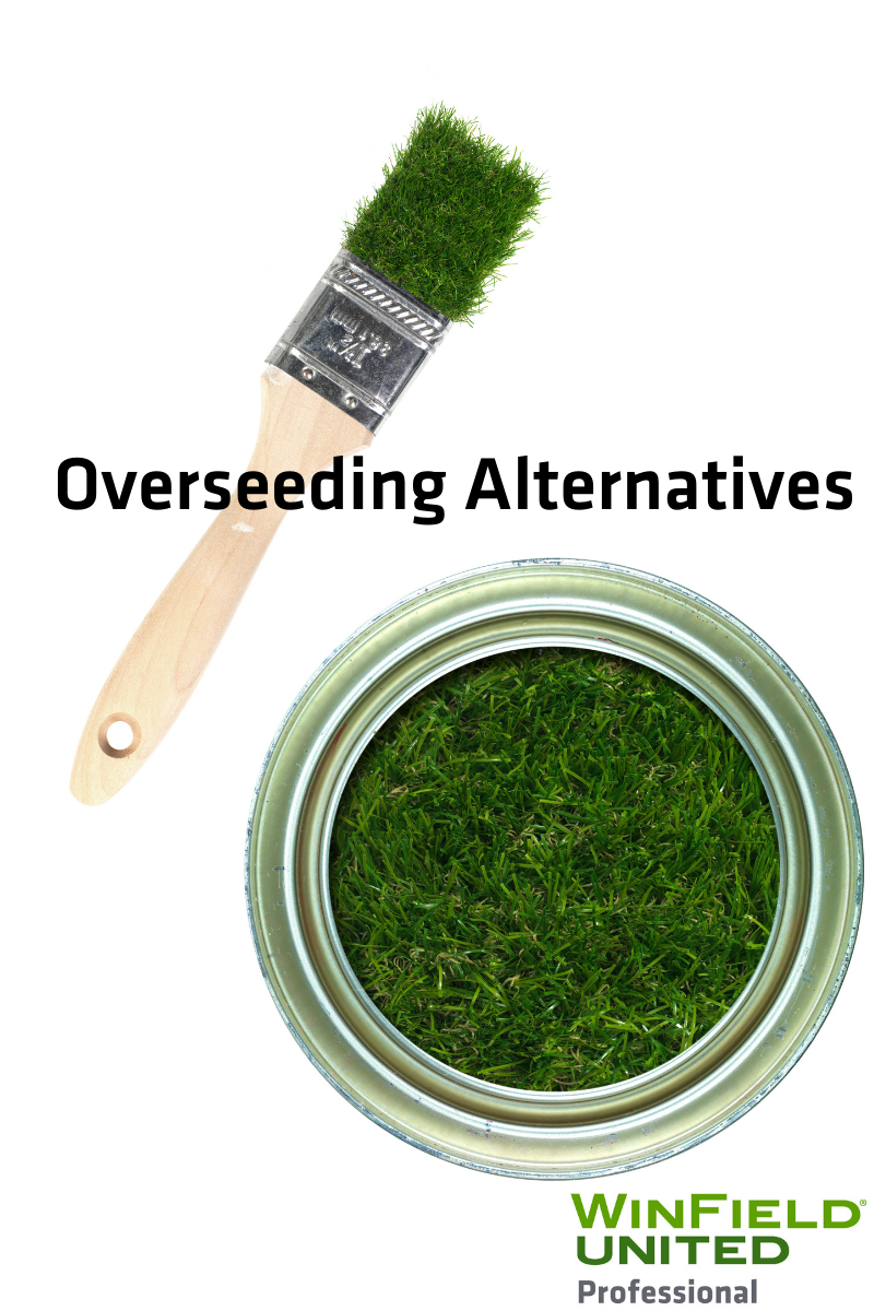Alternatives for overseeding? Turf pigments and colorants might be the answer.