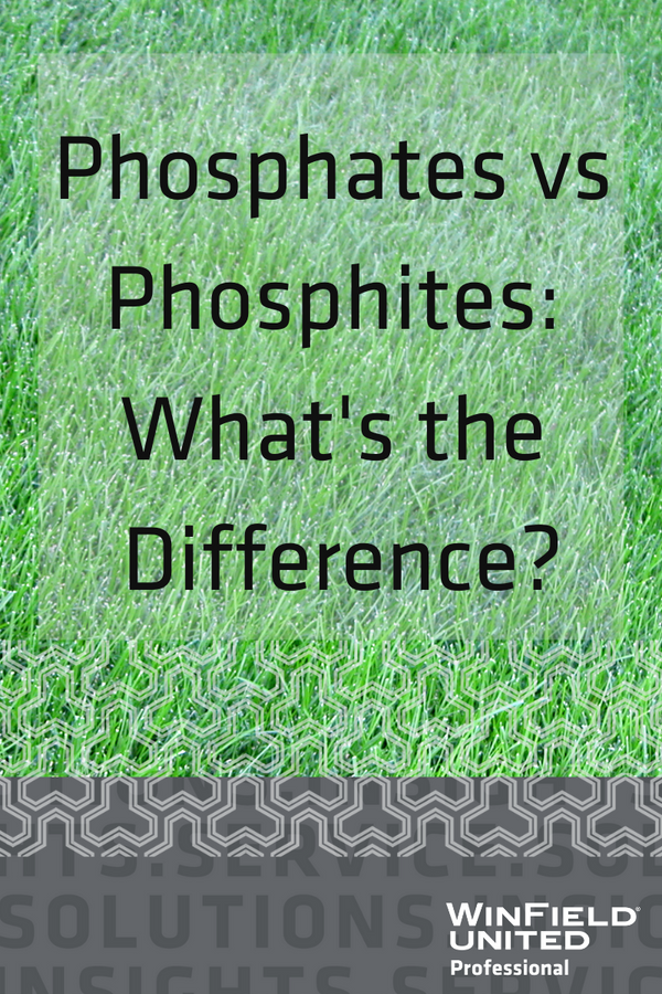 The Differences Between Phosphates and Phosphites