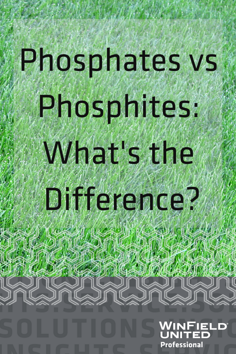 The Differences Between Phosphates and Phosphites