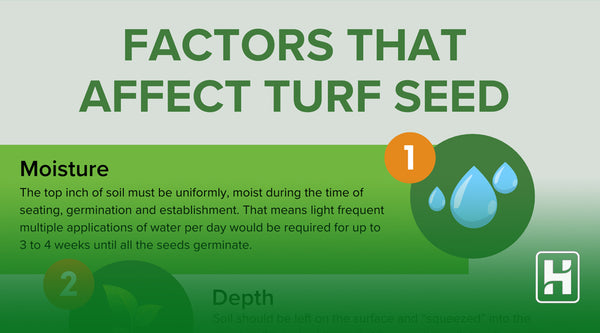 Optimal Conditions for Turf Seeding: Key Factors That Influence Turf Seed Growth