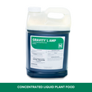 Gravity L AMP 8-27-2