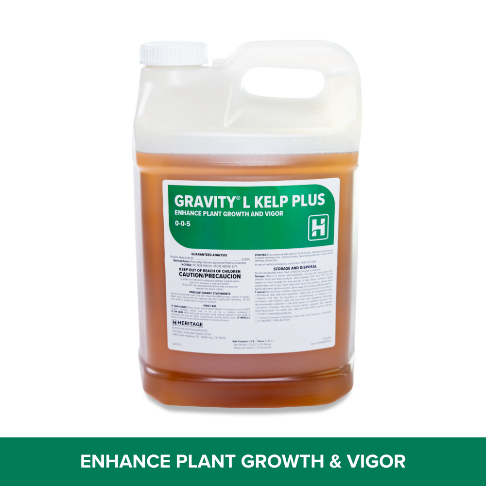 Gravity L Kelp Plus