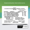 GT CSM 80KBG 20PRG PGS 50LB