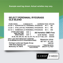 GLS Plus Perennial Ryegrass Blend