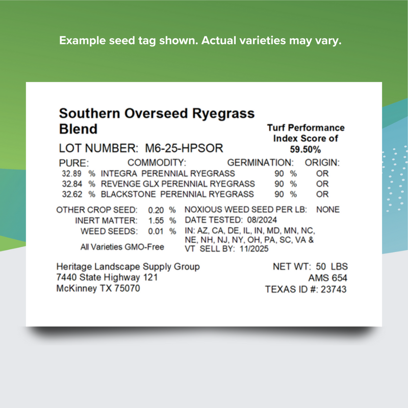 Perennial Ryegrass South Overseed