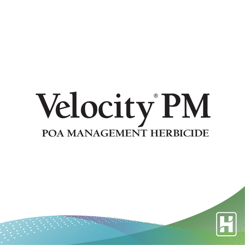 Velocity® PM Poa Management Herbicide