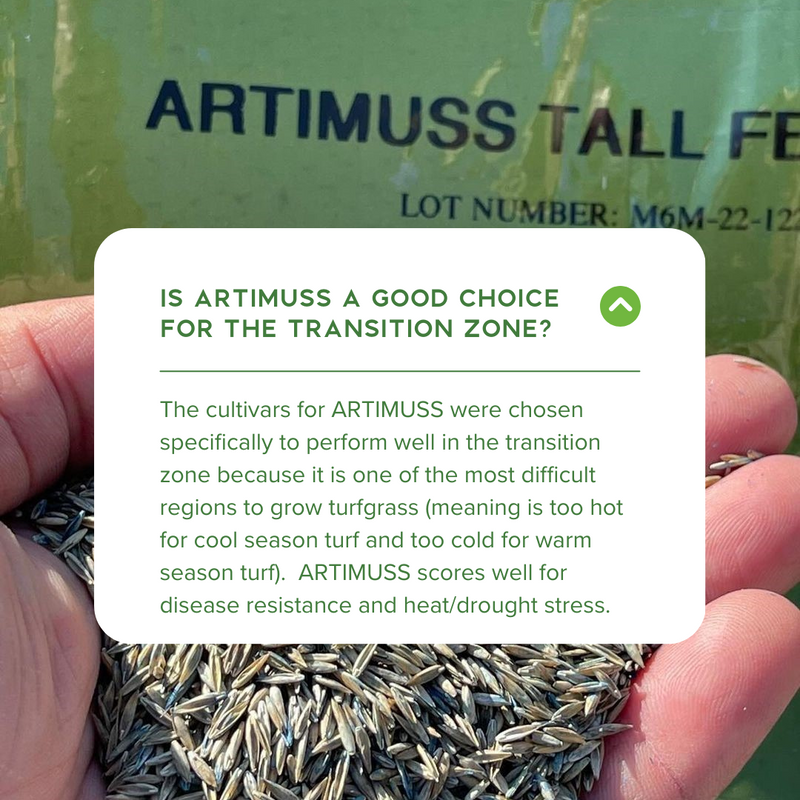 Artimuss Tall Fescue Seed - 25lb Bag