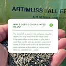 Artimuss Tall Fescue Seed - 50lb Bag