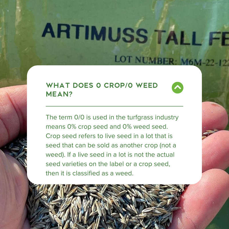 Artimuss Tall Fescue Seed - 25lb Bag