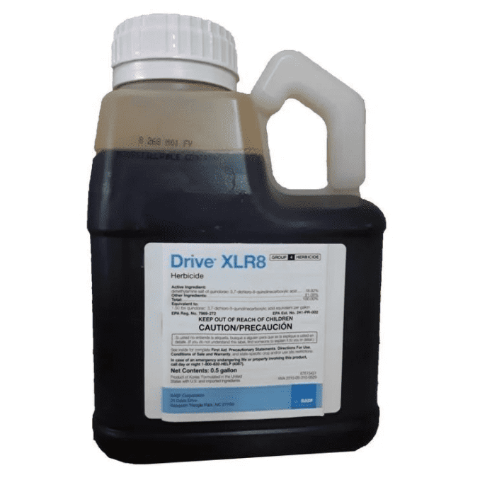 drivexlr_1.png?v=1649254644