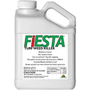 Fiesta